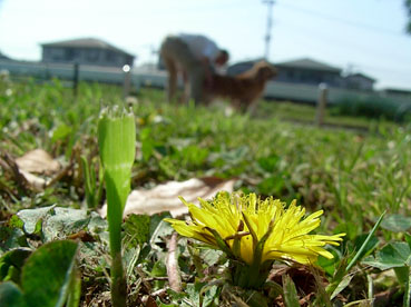 c0096393_234619.jpg