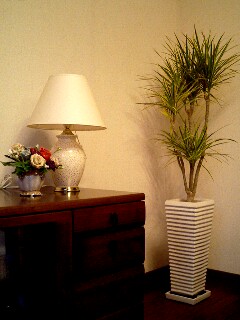 c0096693_1817471.jpg