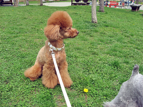 f0001895_1437016.jpg