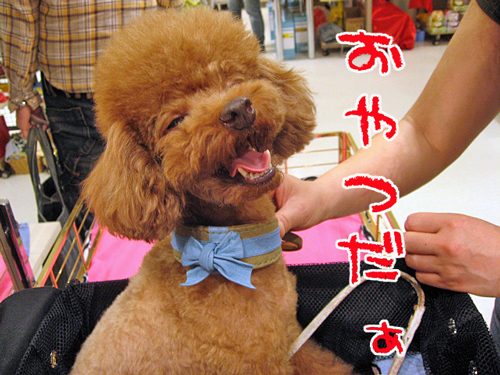 f0001895_14451622.jpg