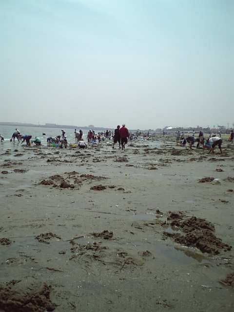 a0037298_20253639.jpg