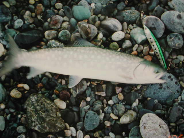 e0109302_12491841.jpg