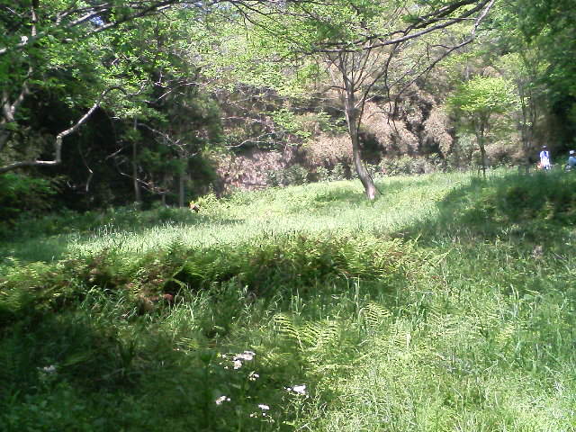 a0088007_21115592.jpg
