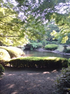 d0101007_15242442.jpg
