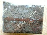 e0098908_1995588.jpg
