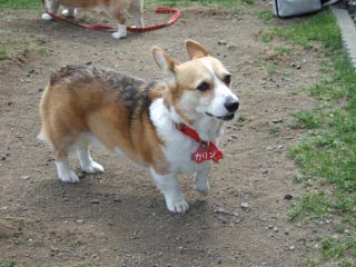 e0007313_21525080.jpg