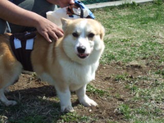 e0007313_2159175.jpg