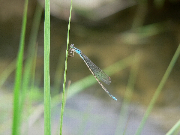 e0002314_16563672.jpg