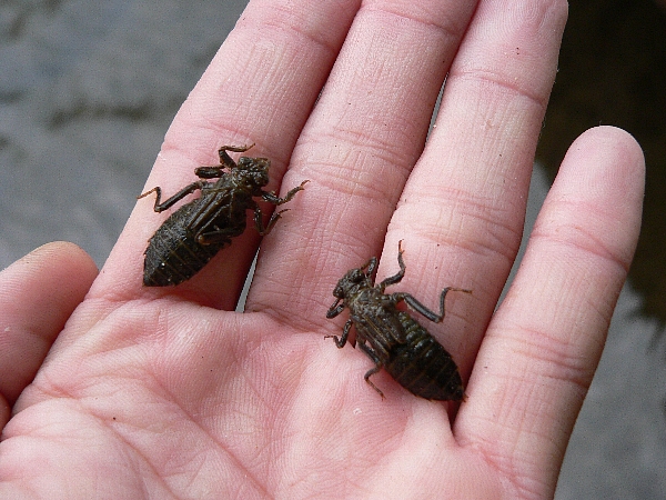 e0002314_17102862.jpg