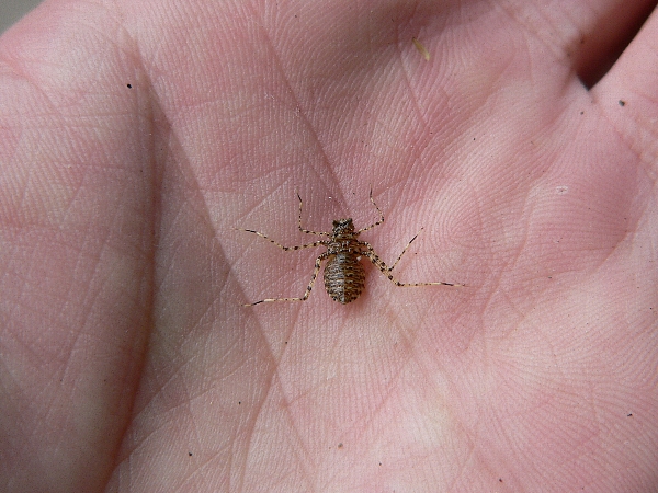 e0002314_17123569.jpg