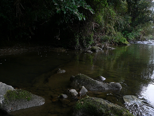 e0002314_179277.jpg