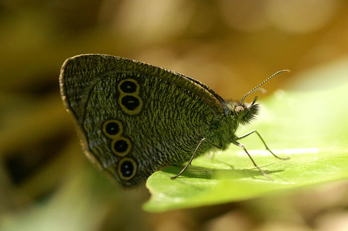 d0089024_0392620.jpg