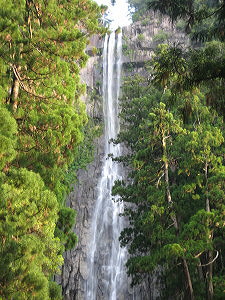 d0107326_22462477.jpg
