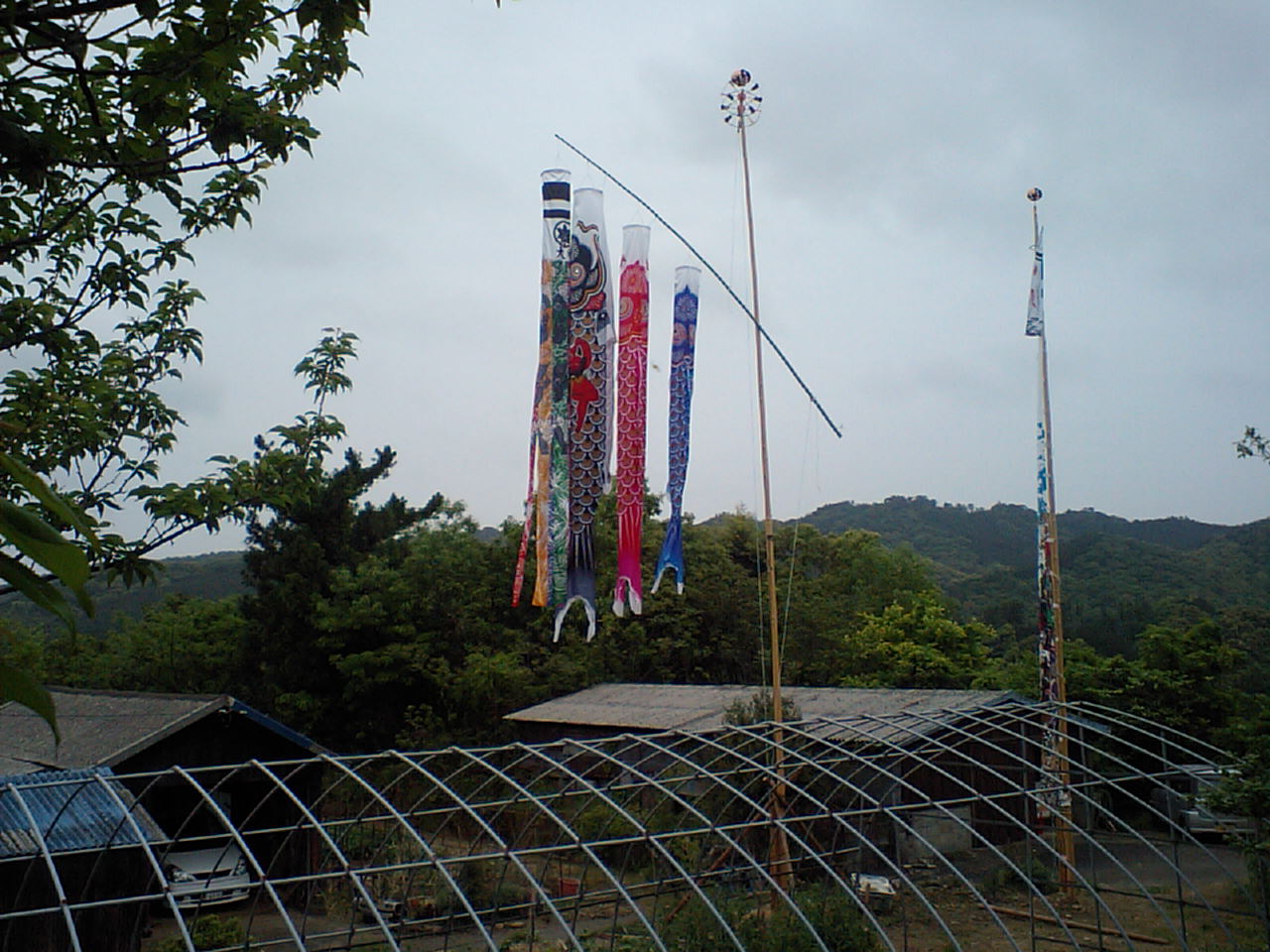c0117028_14265719.jpg