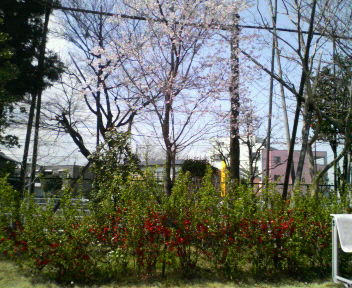 d0071228_2159314.jpg