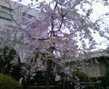 d0071228_229301.jpg