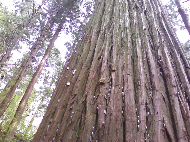 a0020929_14295836.jpg