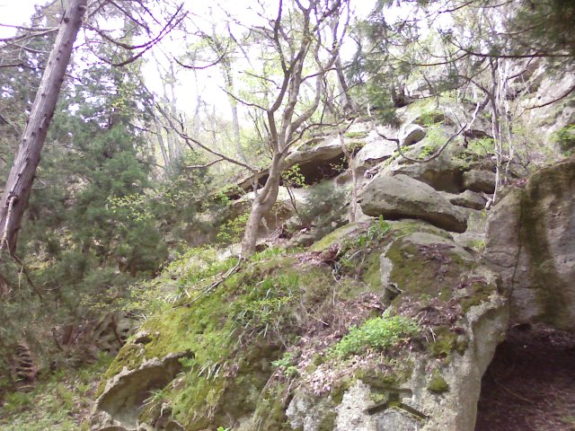 a0020929_1439426.jpg
