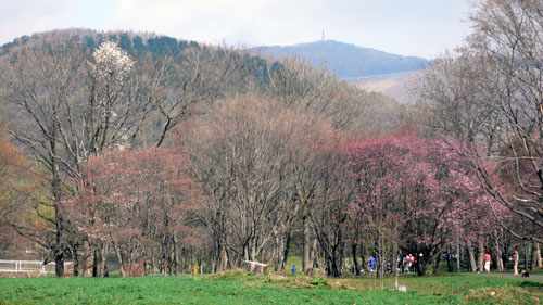 a0046429_19325583.jpg
