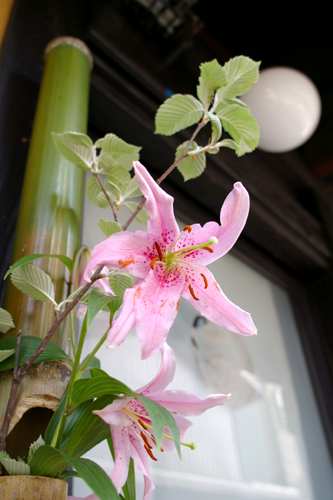 c0077129_126510.jpg