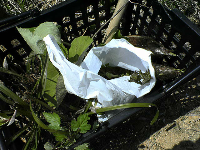 a0016730_18303090.jpg
