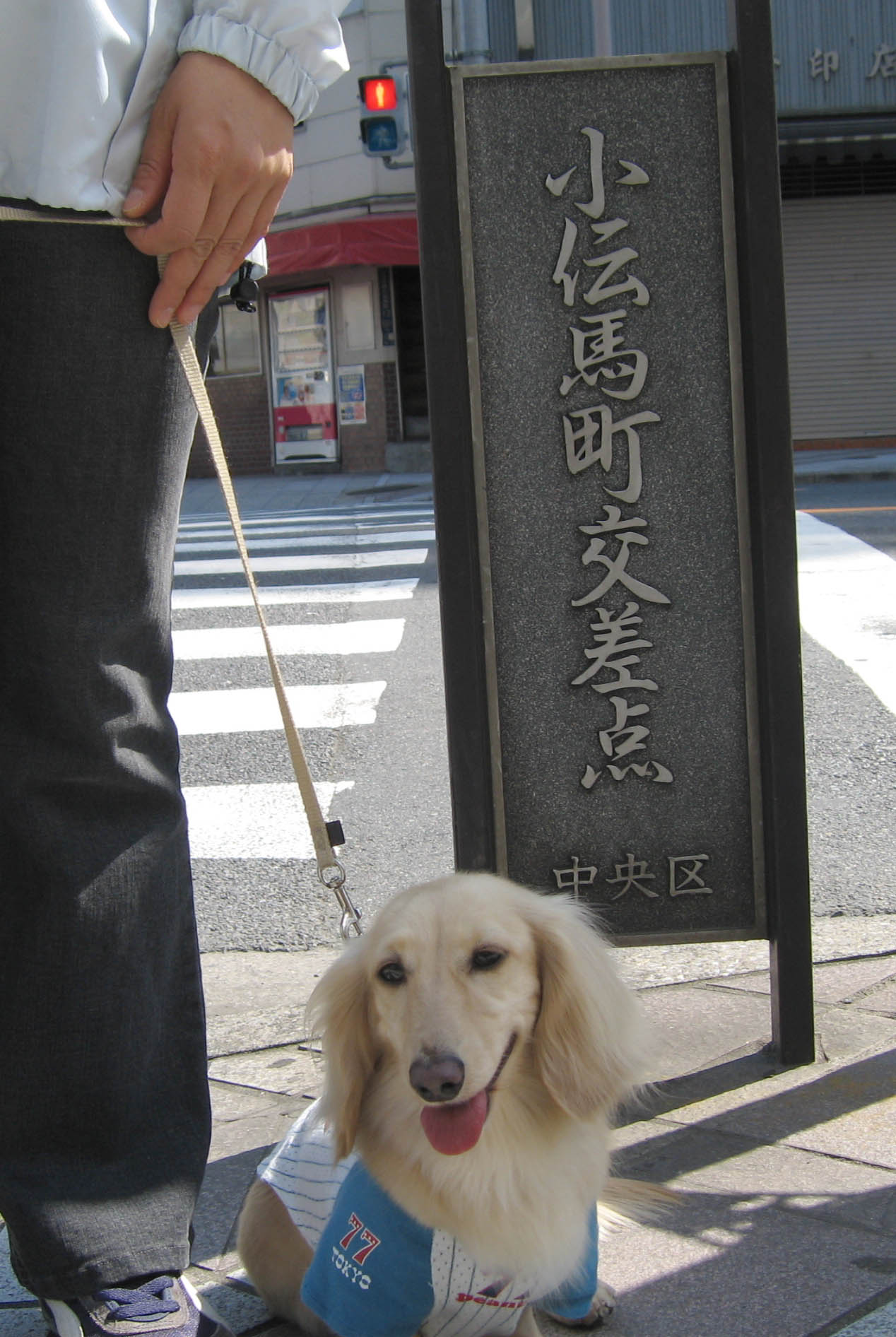 c0117831_1946338.jpg