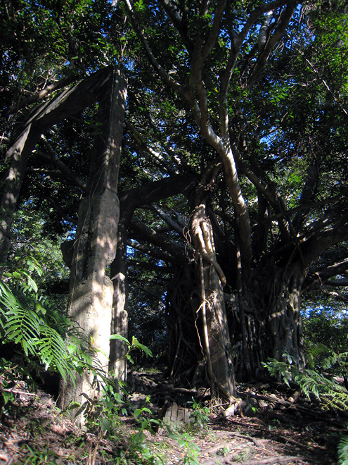 c0014035_21302685.jpg