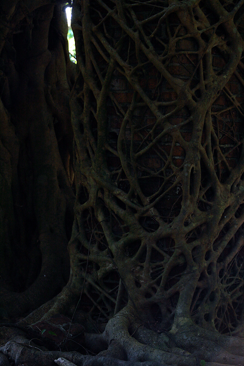 c0014035_21323531.jpg
