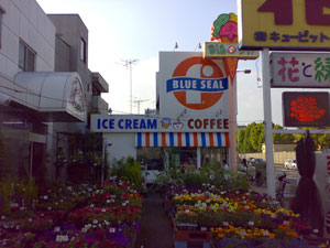 a0023737_9481938.jpg
