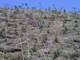 f0052337_15413789.jpg