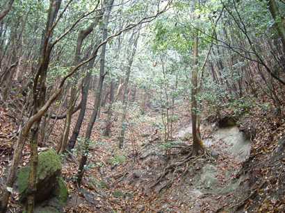 c0077338_1727022.jpg