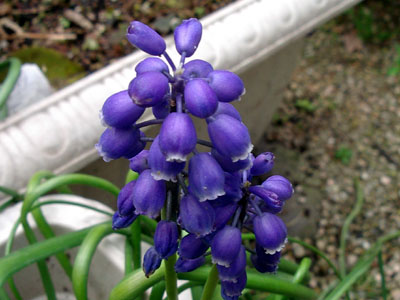 c0068639_16242362.jpg