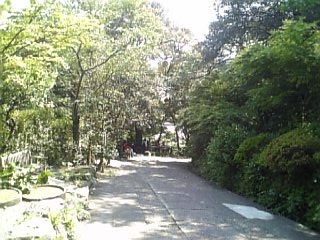 b0032346_15494557.jpg