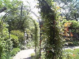 b0032346_1614387.jpg