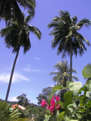 e0027447_18265428.jpg