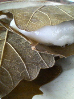 f0088647_101295.jpg