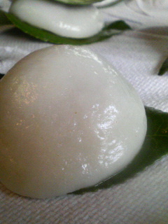 f0088647_102258.jpg