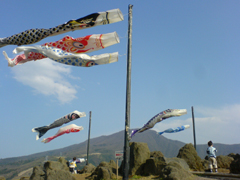 e0005548_949622.jpg