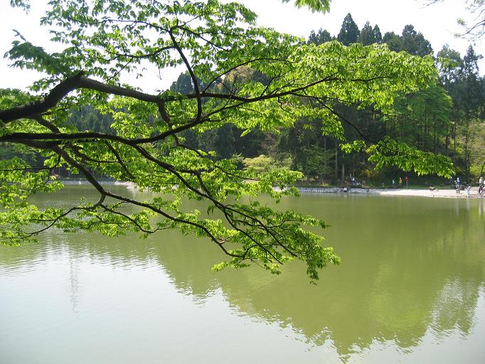 f0133849_11504557.jpg