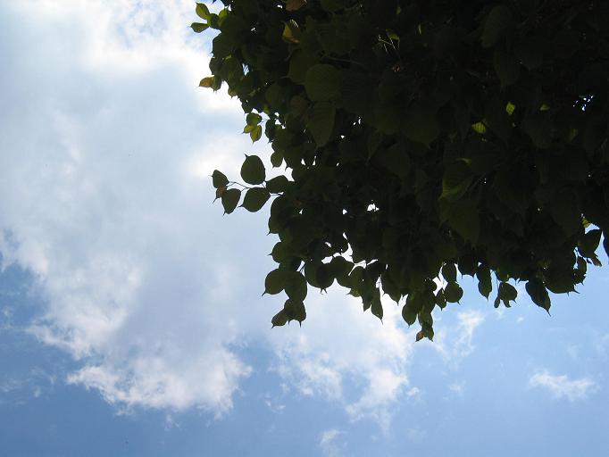 f0133849_11513521.jpg