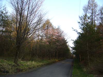 b0045357_15554957.jpg