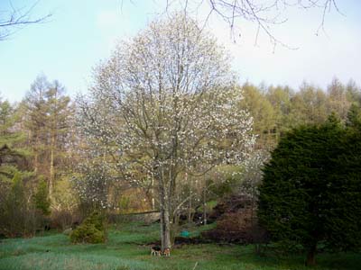 b0045357_15564091.jpg
