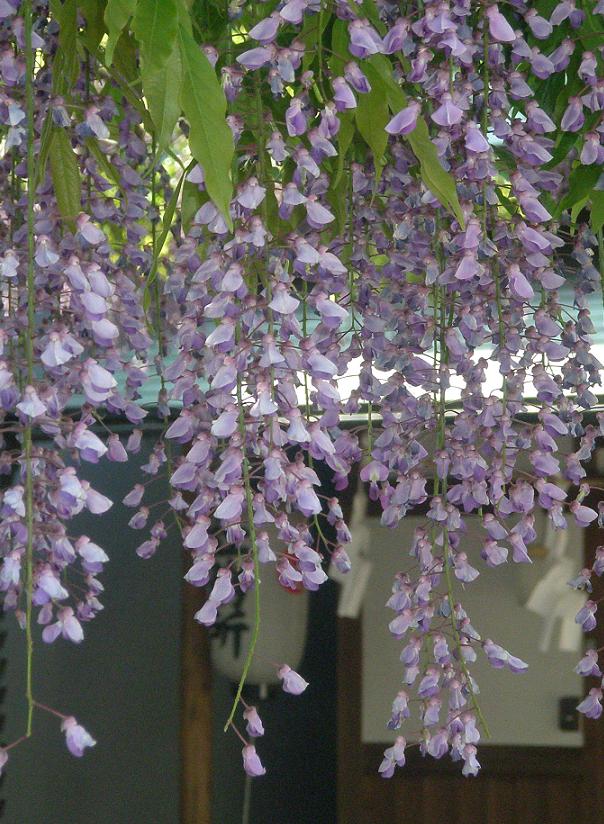d0008157_11243640.jpg