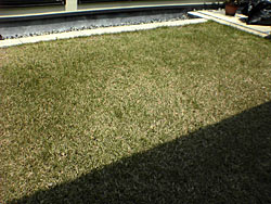 c0051759_14582984.jpg