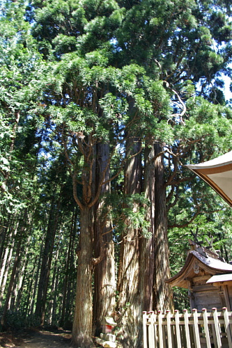 e0006964_15104834.jpg