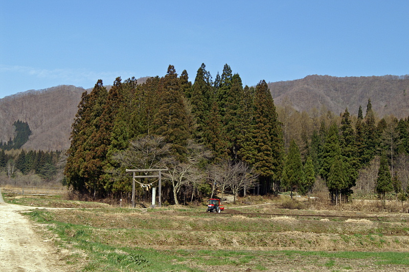 e0006964_158140.jpg