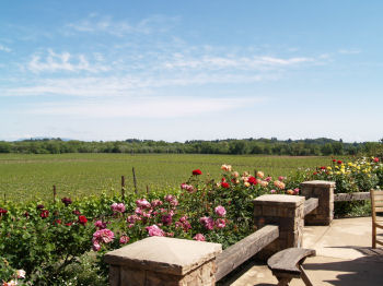 f0107364_18275867.jpg