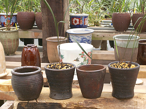 c0068168_11433227.jpg