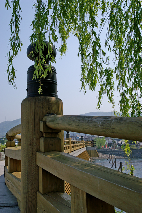 e0002371_1515868.jpg