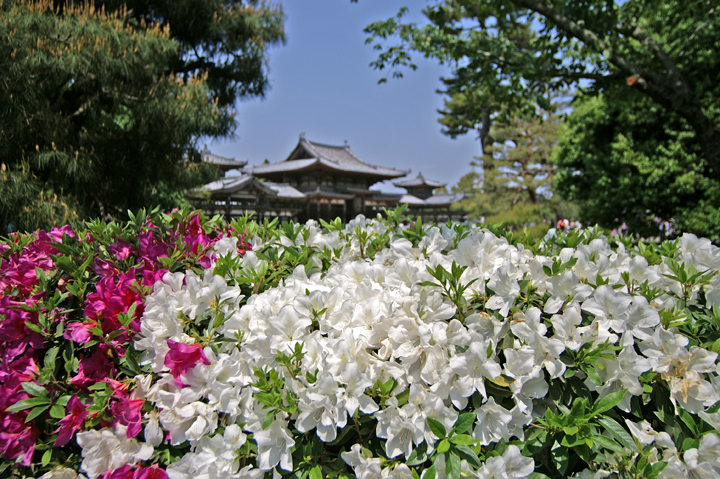e0002371_15201178.jpg